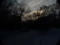 P1224853
