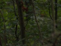 PA010177